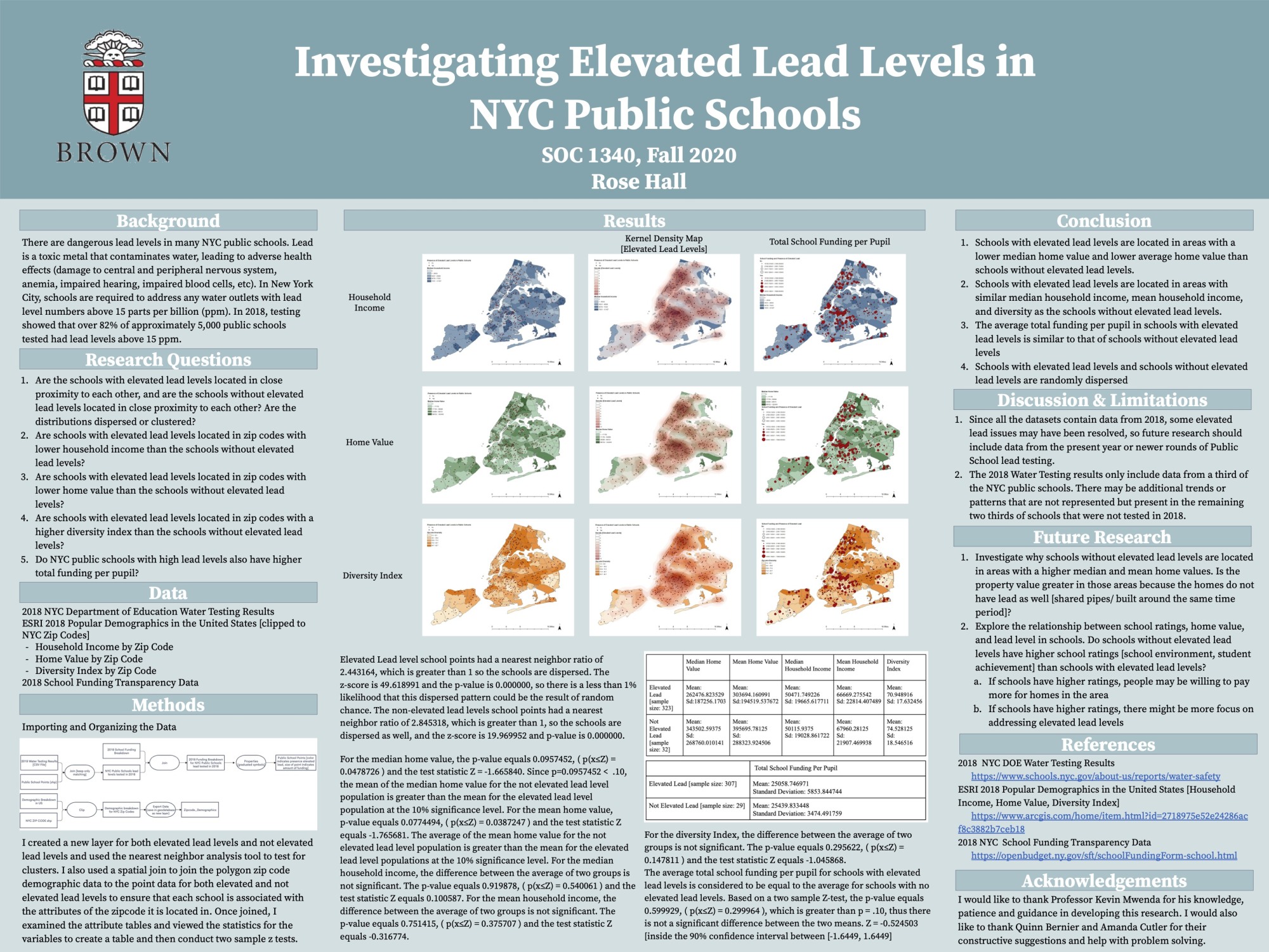 Poster dense with images and text about lead in NYC Schools